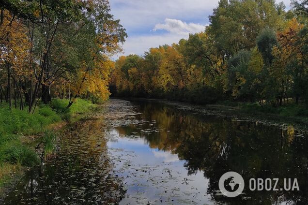 Без опадів та до +12°С: детальний прогноз погоди по Київщині на 16 жовтня