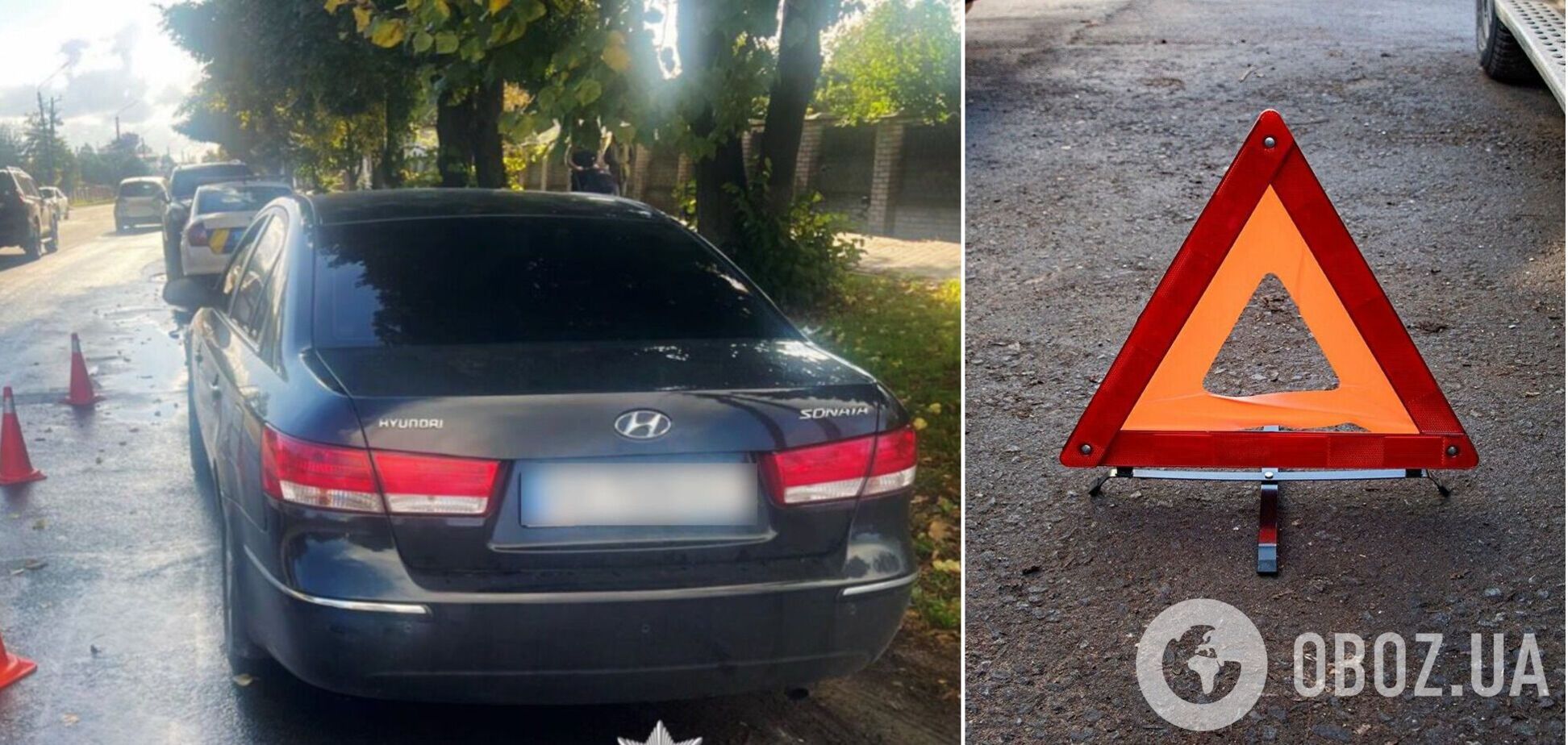 Під Києвом легковик на швидкості збив на смерть 82-річну жінку. Подробиці ДТП та фото