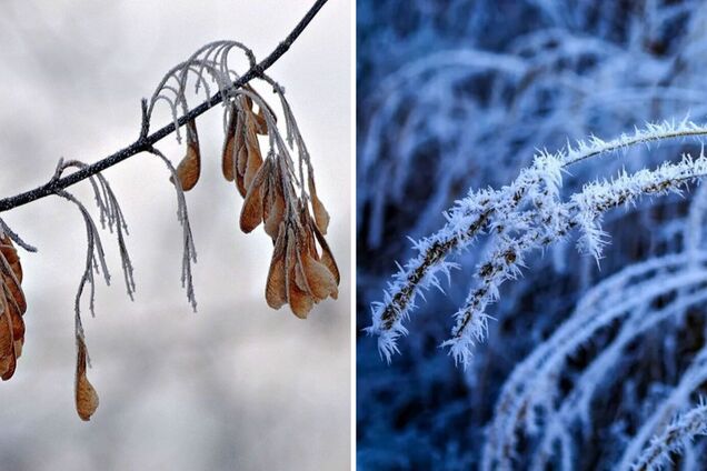 Над Україною залишатиметься холодна повітряна маса: синоптики сказали, де очікувати заморозків