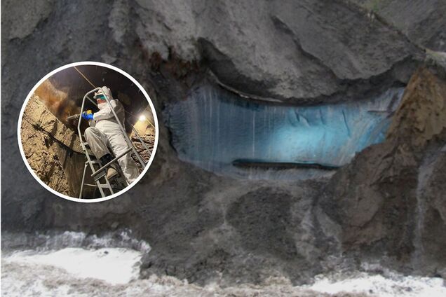 Ученые 'разбудили' жизнь, которая пролежала замерзшей на Аляске около 40 тысяч лет. Фото