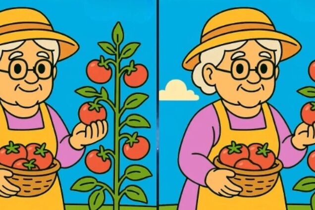 Найдите все отличия: быстрая головоломка