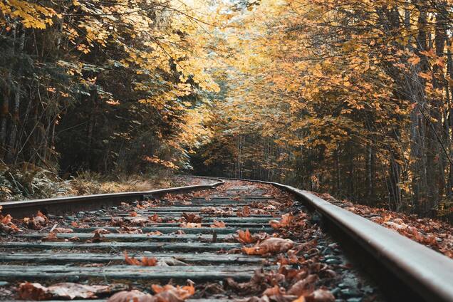 Південного тепла вже не буде: синоптики сказали, де у п'ятницю очікувати заморозків