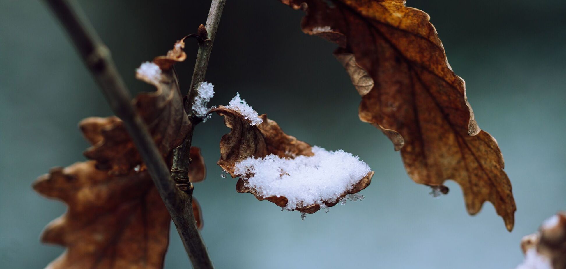 Не только дождь и ветер: синоптики рассказали, где ожидаются снегопады 19 октября. Карта