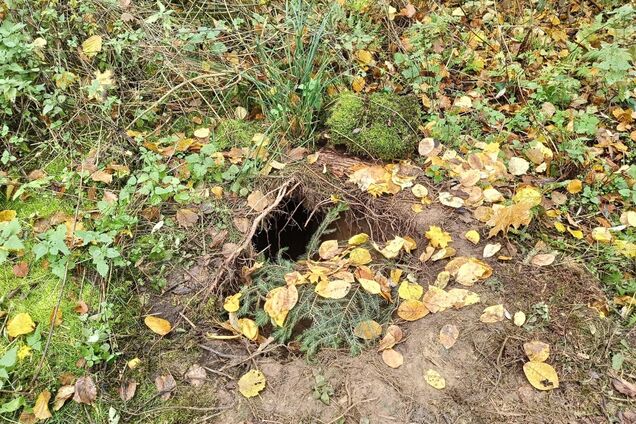 Польские пограничники нашли неизвестный тоннель возле границы с Беларусью. Фото и видео