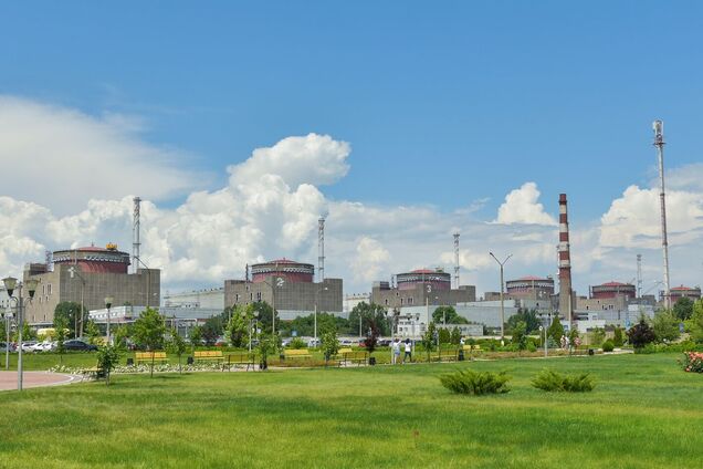 'Намеренный саботаж со стороны России': в Greenpeace подтвердили, что Украина не обстреливала линии электропередач к ЗАЭС