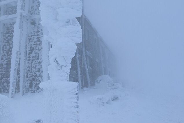 'Не по-детски зима зашла': сеть поразило фото заснеженных Карпат, где ударило 7 градусов мороза