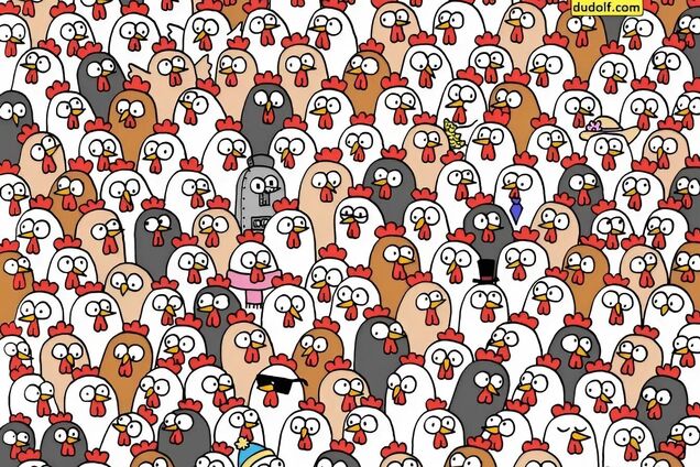 Найдите трех сов: головоломка для самых внимательных