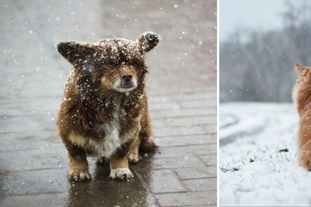 В Україну насувається похолодання: синоптики сказали, де у понеділок чекати заморозків з мокрим снігом