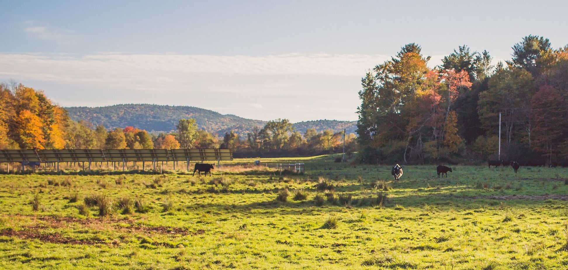 Яке свято відзначають 26 жовтня: все про цей день