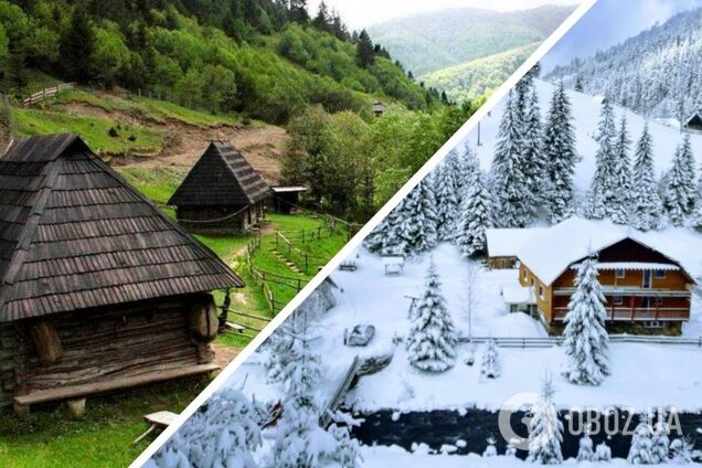 Отдых в Карпатах