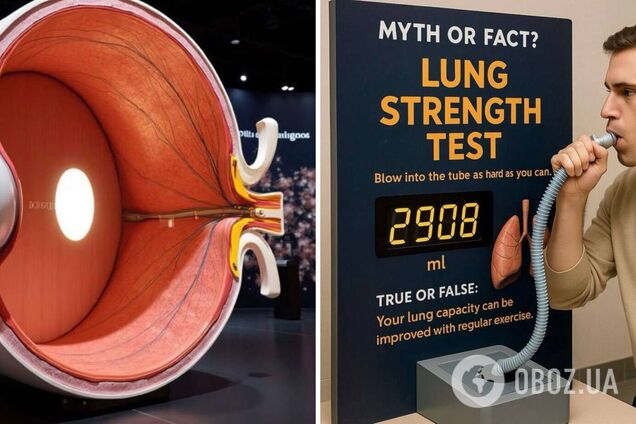 'Тело человека': в Украине представят уникальный интерактивный проект, который изменит представление о выставках