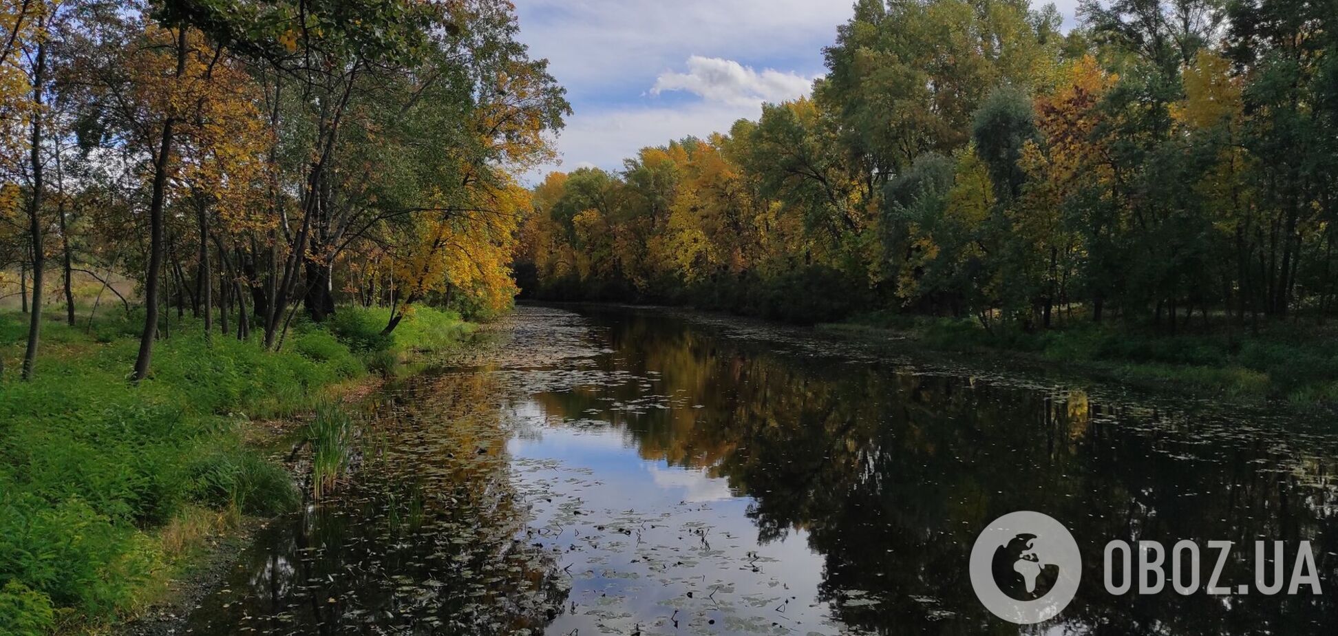 Хмарно з проясненнями та до +13°С: прогноз погоди по Київщині на 22 жовтня