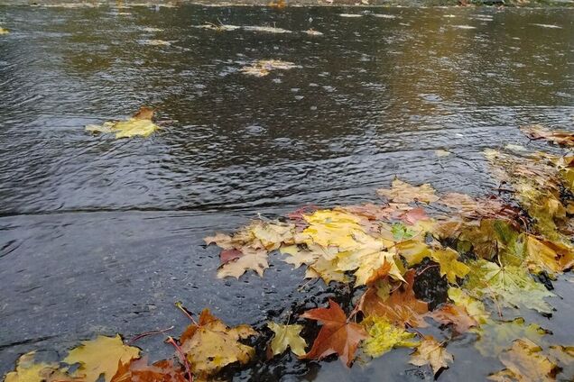 Може бути змішана фаза: синоптикиня сказала, чи ще прийде в Україну потужне потепління