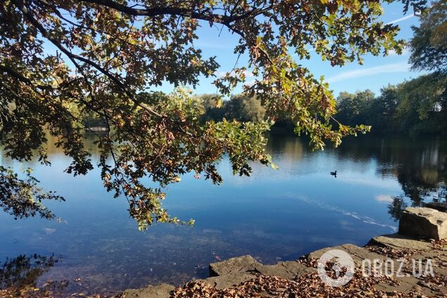 Снег, заморозки, грозы и солнце: в Гидрометцентре сообщили о погодных 'качелях' в Украине