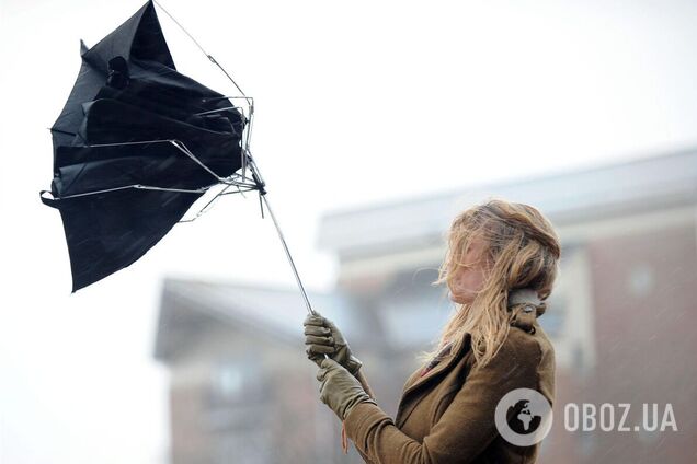 Сильные порывы ветра, дождь и до +16°С: прогноз погоды по Киевщине на 24 октября