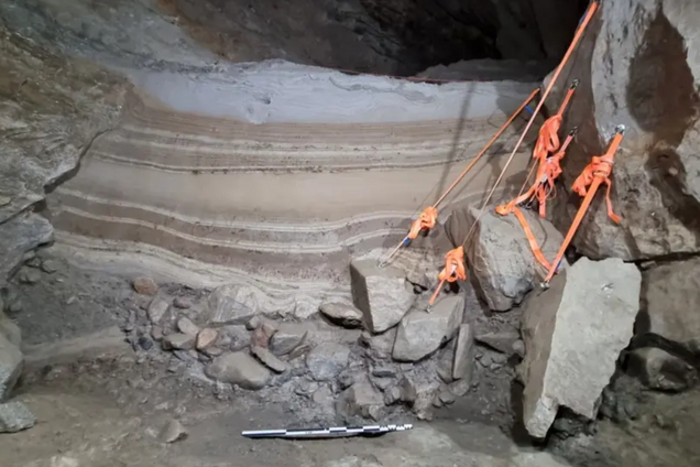 В пещере нашли останки 46 видов животных ледникового периода. Фото