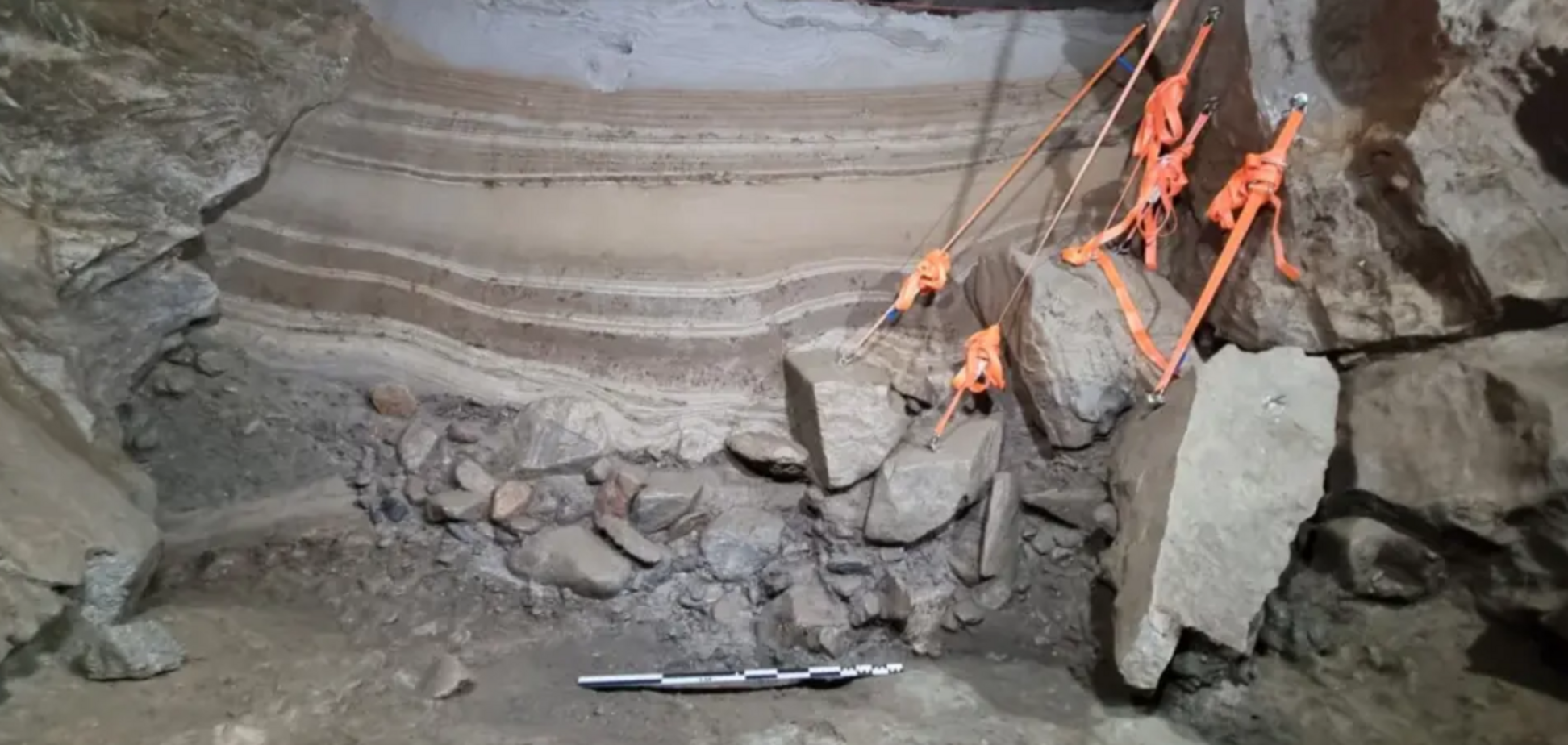 В пещере нашли останки 46 видов животных ледникового периода. Фото