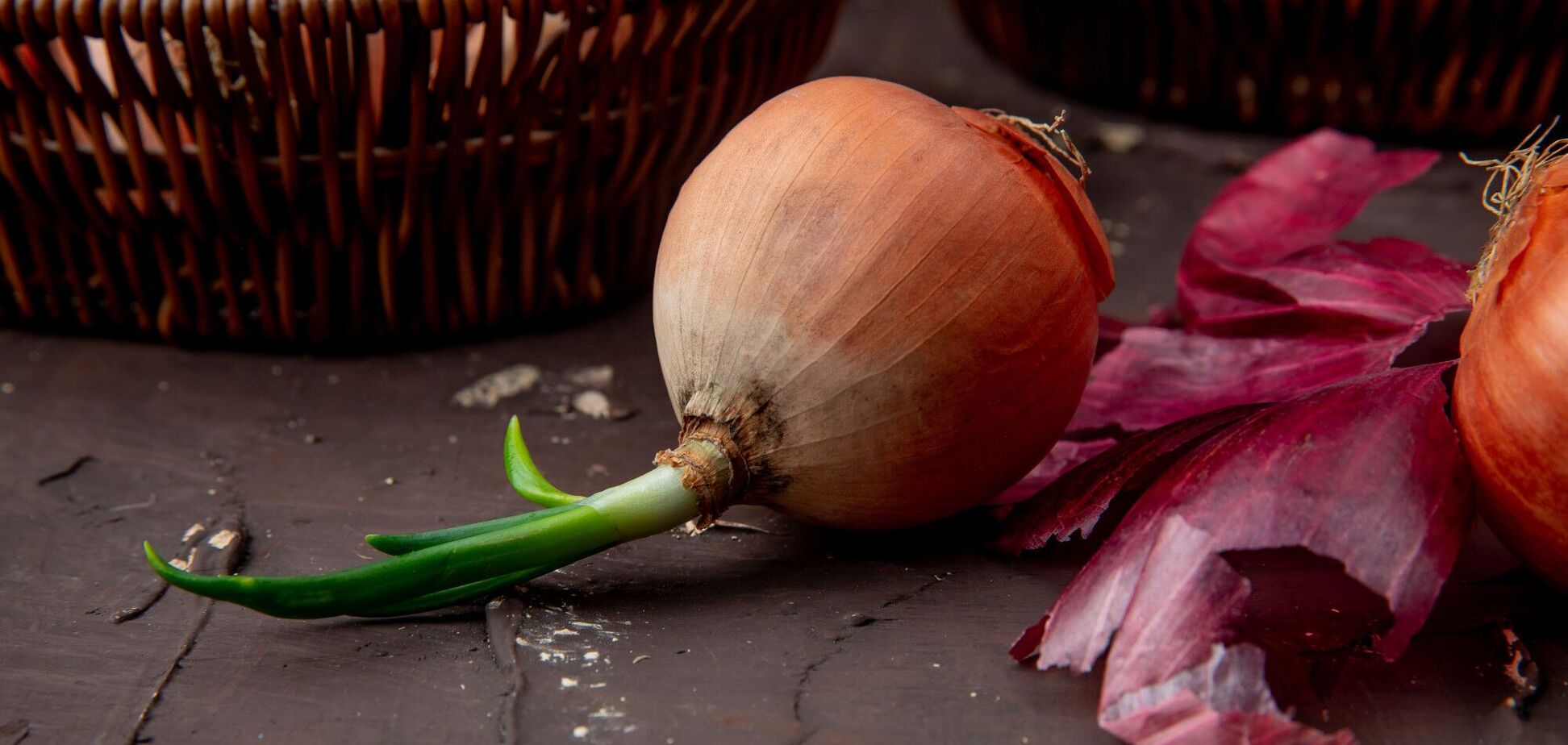 Ілюстрація - ріпчаста цибуля
