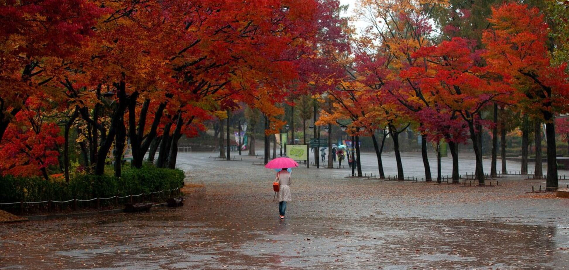 Погода продолжает портиться: синоптики сказали, где в субботу пройдут дожди с грозами