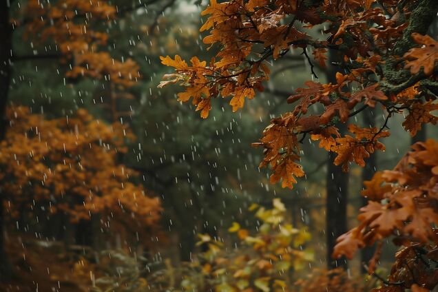 Тепліше не стане: синоптики сказали, де у неділю пройдуть дощі з мокрим снігом