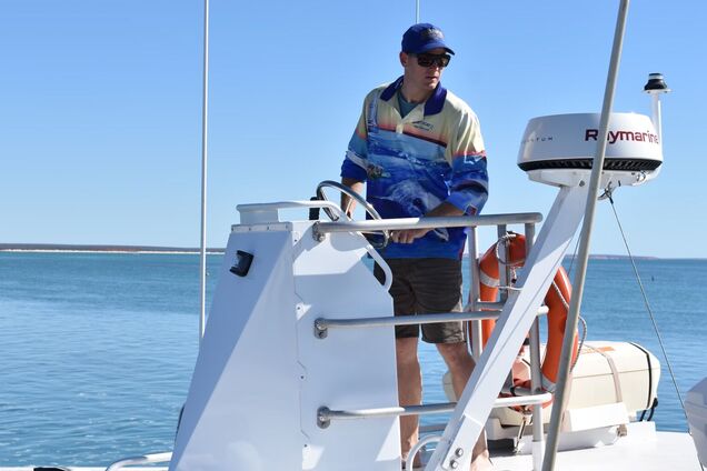 Самцов дельфинов заметили в 'париках' из морских губок: ученые объяснили странное поведение