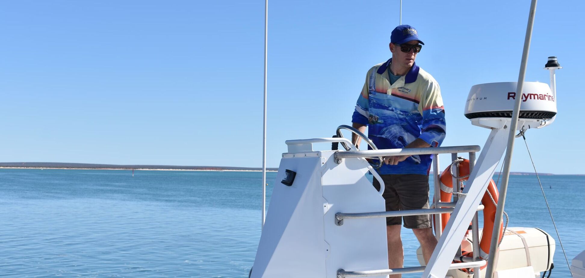 Самцов дельфинов заметили в 'париках' из морских губок: ученые объяснили странное поведение