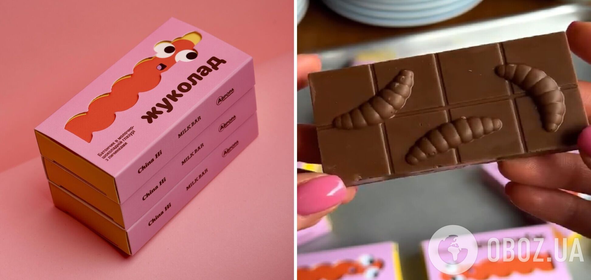 Жуколад: в Україні почали продавати шоколад зі справжніми личинками жуків. Фото і відео