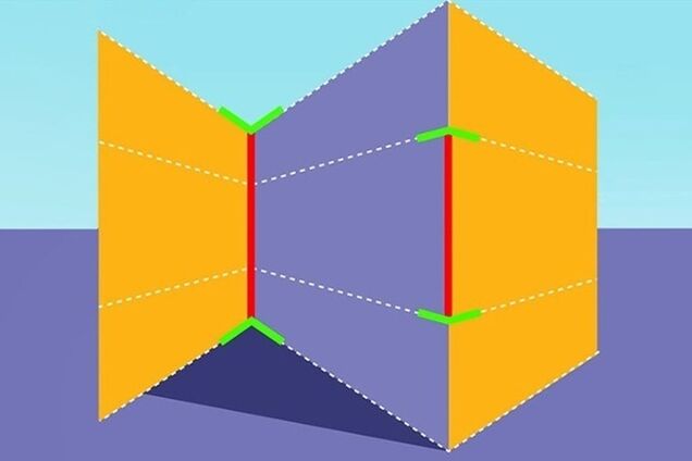 Яка лінія довша? Головоломка, що вас здивує