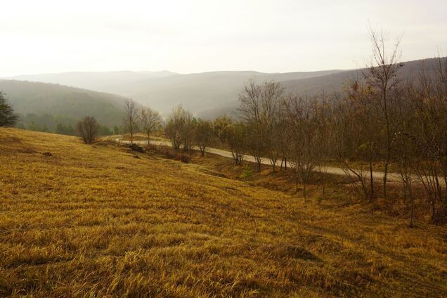 Яке свято 6 листопада в Україні: все про цей день