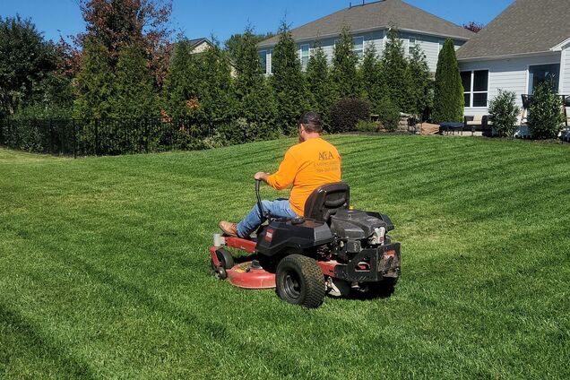 Какая осенняя ошибка портит газон: предупреждение от экспертов