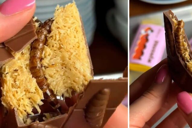 Жуколад: в Украине начали продавать шоколад с настоящими личинками жуков. Фото и видео