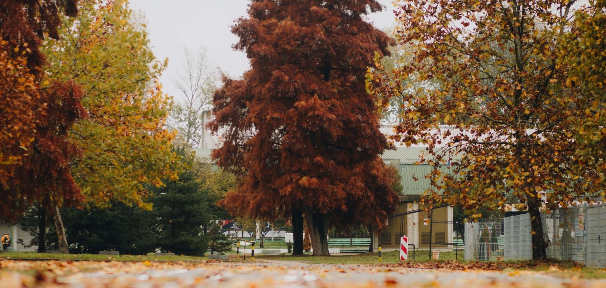 У четвер в Україні підніметься атмосферний тиск: синоптики сказали, якої погоди очікувати