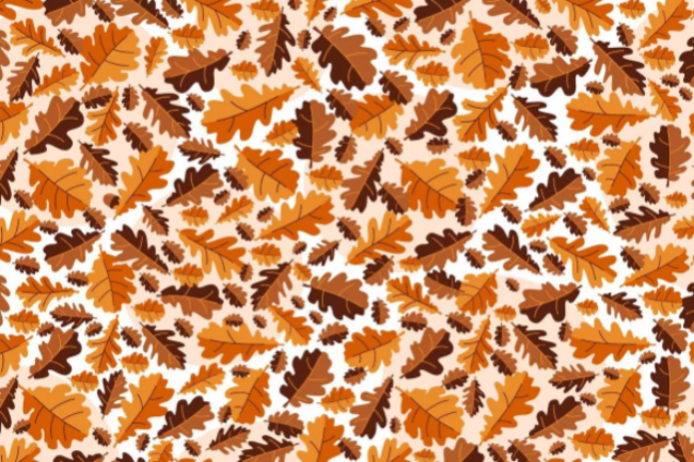 Найдите желудь: хитрая осенняя головоломка