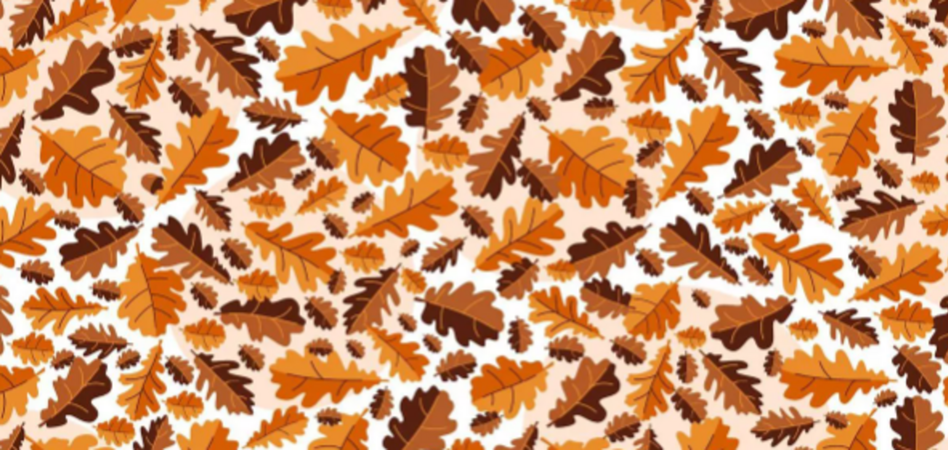 Знайдіть жолудь: хитра осіння головоломка