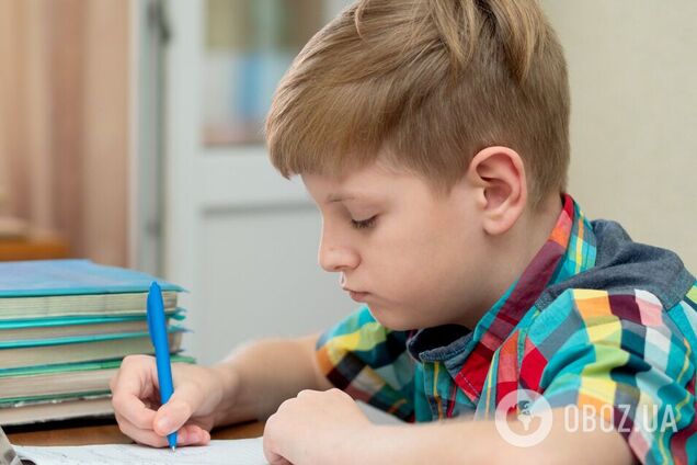 'Сочинение' о хомяках на три предложения рассмешило сеть: как выкрутился украинский школьник