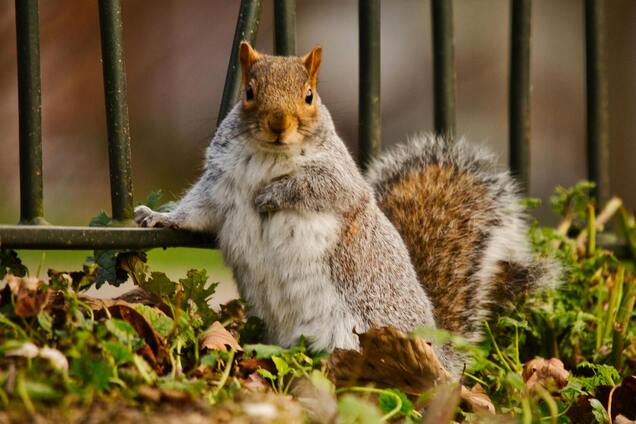 Холоднее всего будет на западе: синоптик рассказала, какой погоды ждать в Украине на выходных. Карта