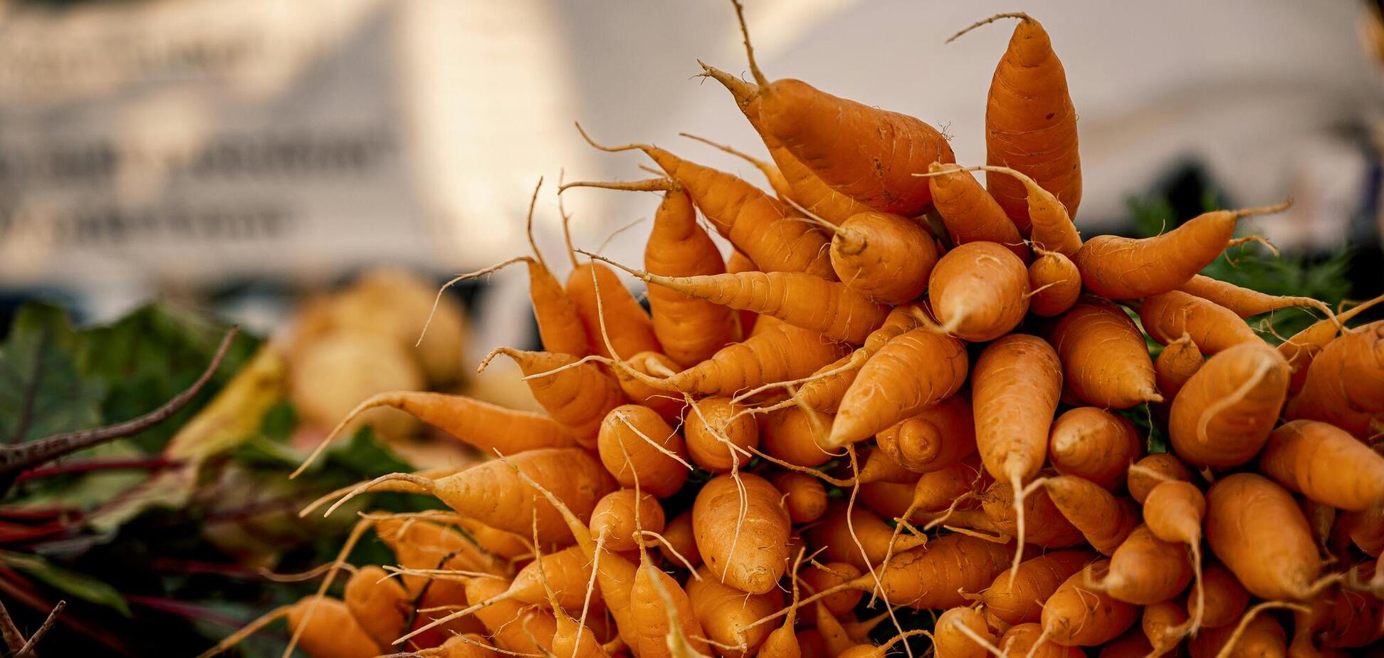 Ілюстрація - ціни на моркву