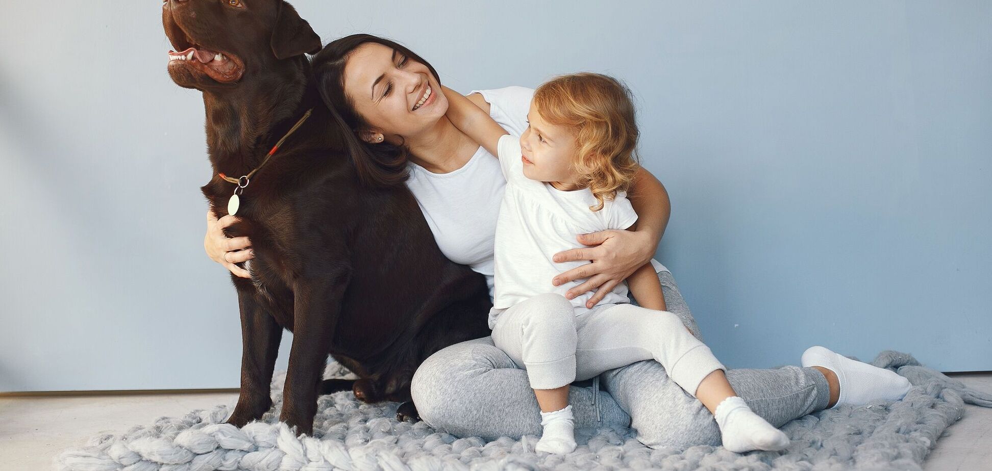 Названы пять пород собак, которые могут стать идеальными домашними любимцами