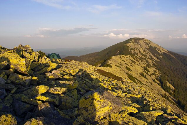 Карпати у 30-х роках: у мережі показали вид із гори Синяк