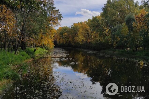 Хмарно та до +15°С: детальний прогноз погоди по Київщині на 6 жовтня