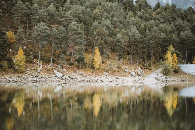 В Украину придет потепление, но ненадолго: синоптик дала прогноз. Карта
