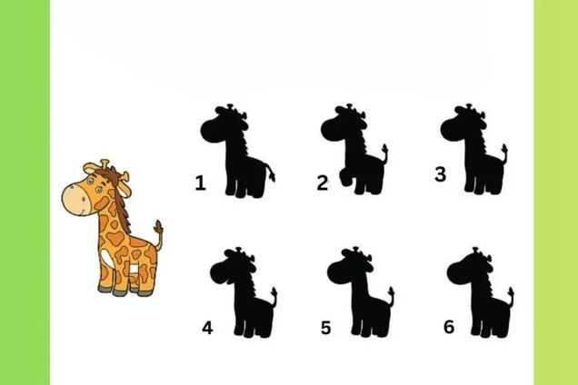 Какая тень правильная? Хитрая головоломка