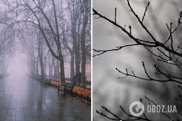Украину накроют дожди, в Одесской области объявили 'оранжевый' уровень опасности: прогноз погоды на среду. Карта