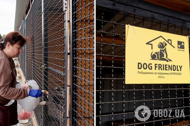 2000 врятованих тварин: 'Інтерпайп' Пінчука долучився до розвитку притулку для тварин
