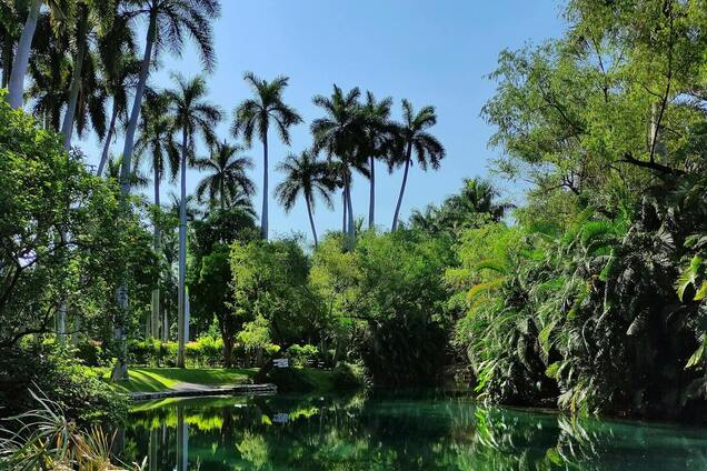 Как Мальдивы, но дешевле: туристам посоветовали тропический рай
