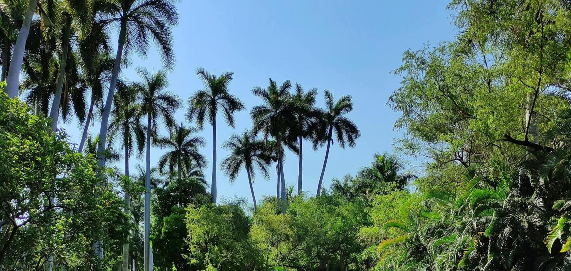 Как Мальдивы, но дешевле: туристам посоветовали тропический рай