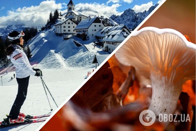 Отдых в Карпатах осенью и зимой в Карпатах