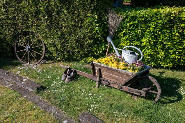 Как избавиться от сорняков: простой способ, который подойдет для осени