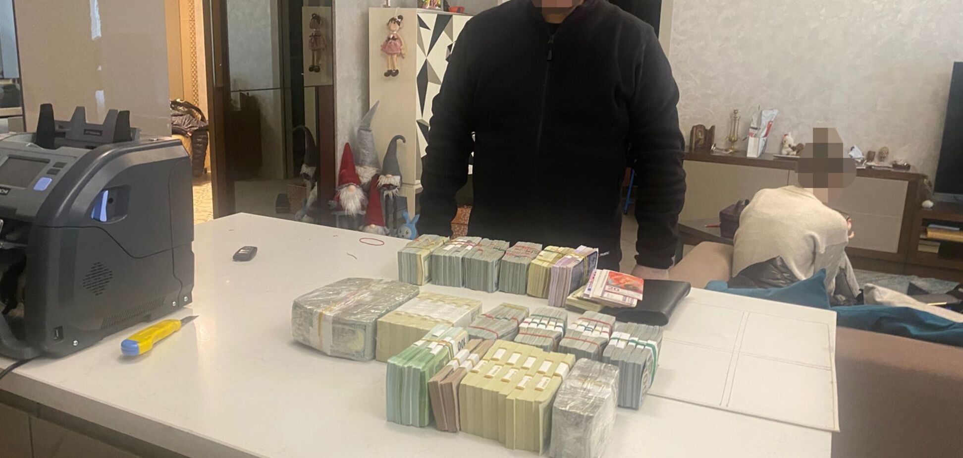 Чиновница Госэкоинспекции оказалась долларовой миллионершей: во время обыска у нее нашли пачки долларов