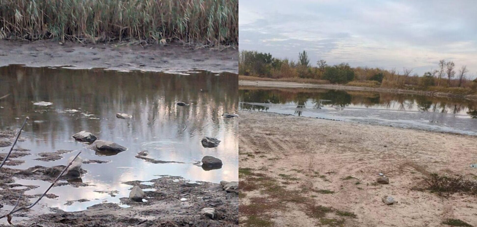 Так само починалося в Криму: Павлопільське водосховище біля окупованого Маріуполя стрімко міліє